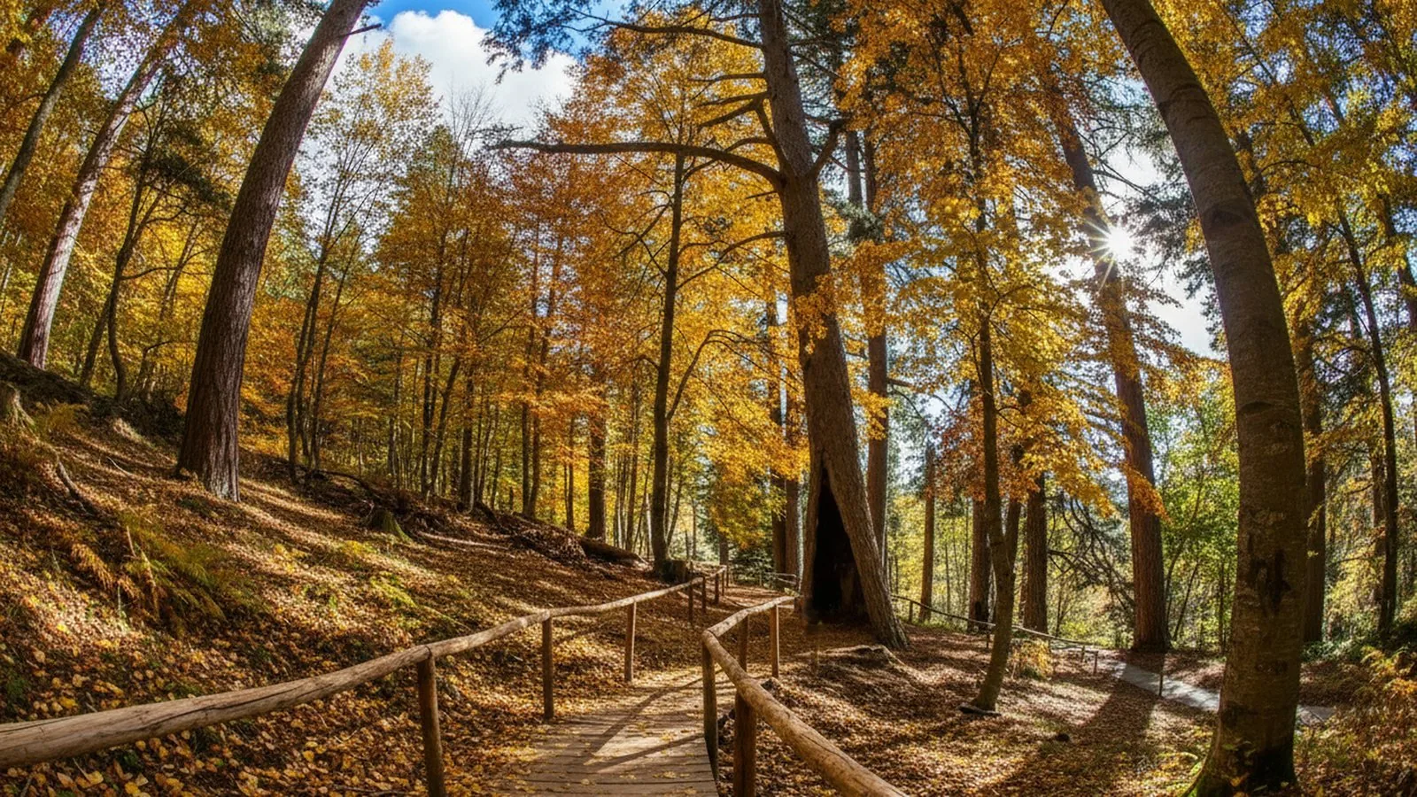 Il Parco Nazionale della Sila